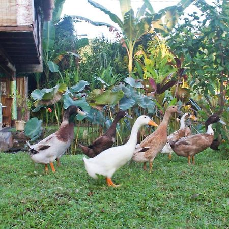 Jasri Dalem Surf Retreat Villa ภายนอก รูปภาพ