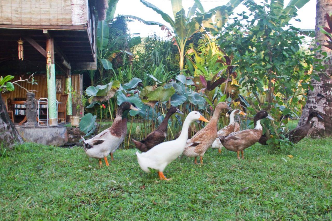 Jasri Dalem Surf Retreat Villa ภายนอก รูปภาพ